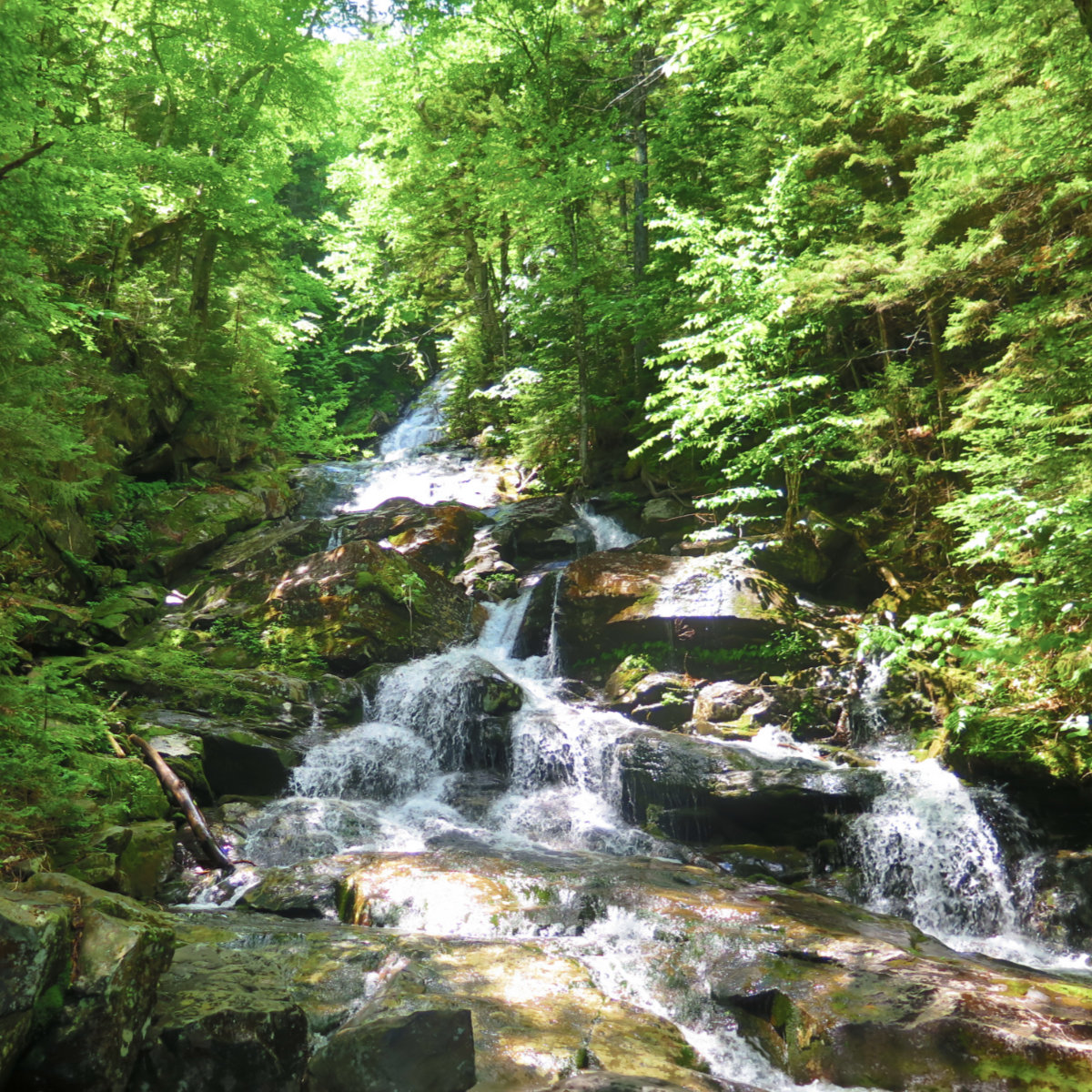 Moosilauke-Beaver-Brook-Cascades-20190627