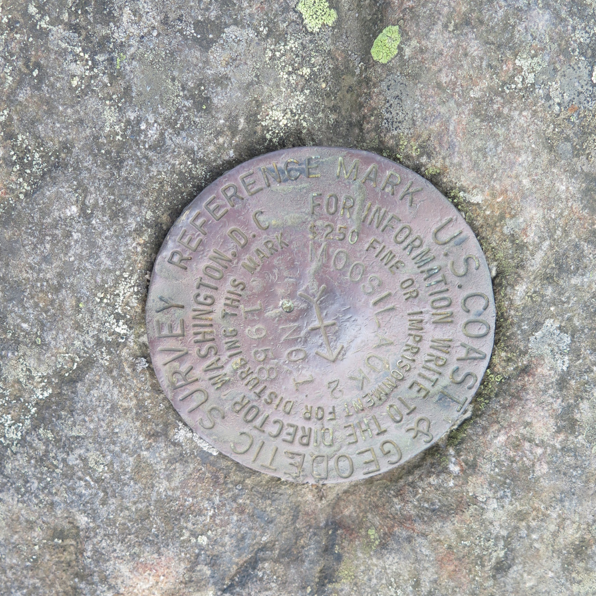 Moosilauke-Summit-Medallion-20190627