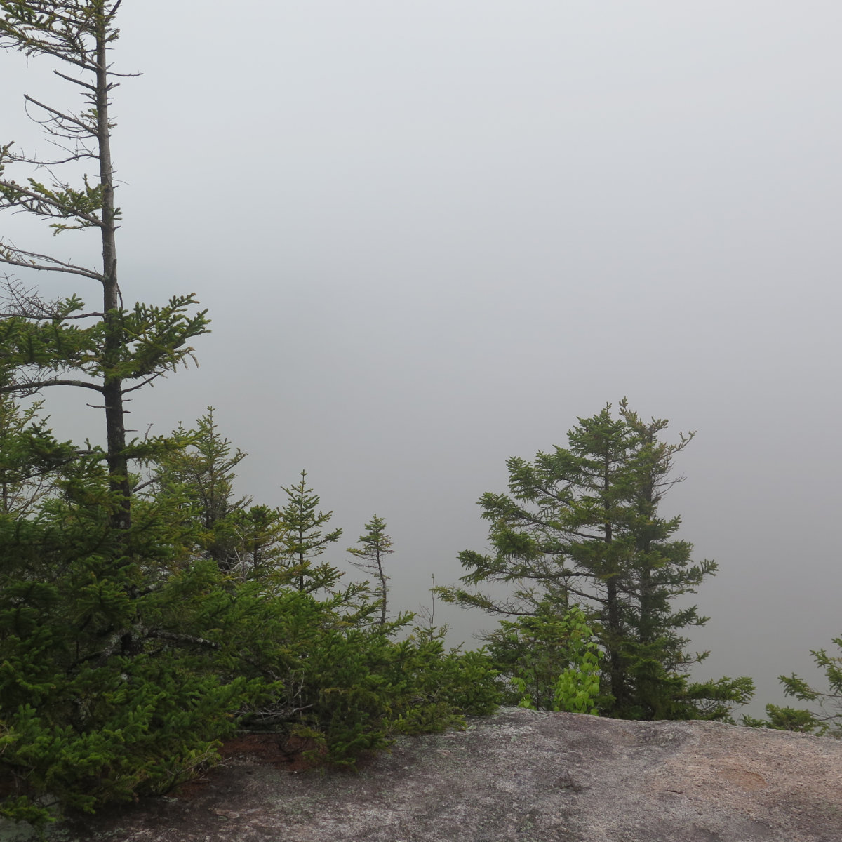 Thick fog obscuring the view from Noon Peak, White Mountain National Forest, New Hampshire.