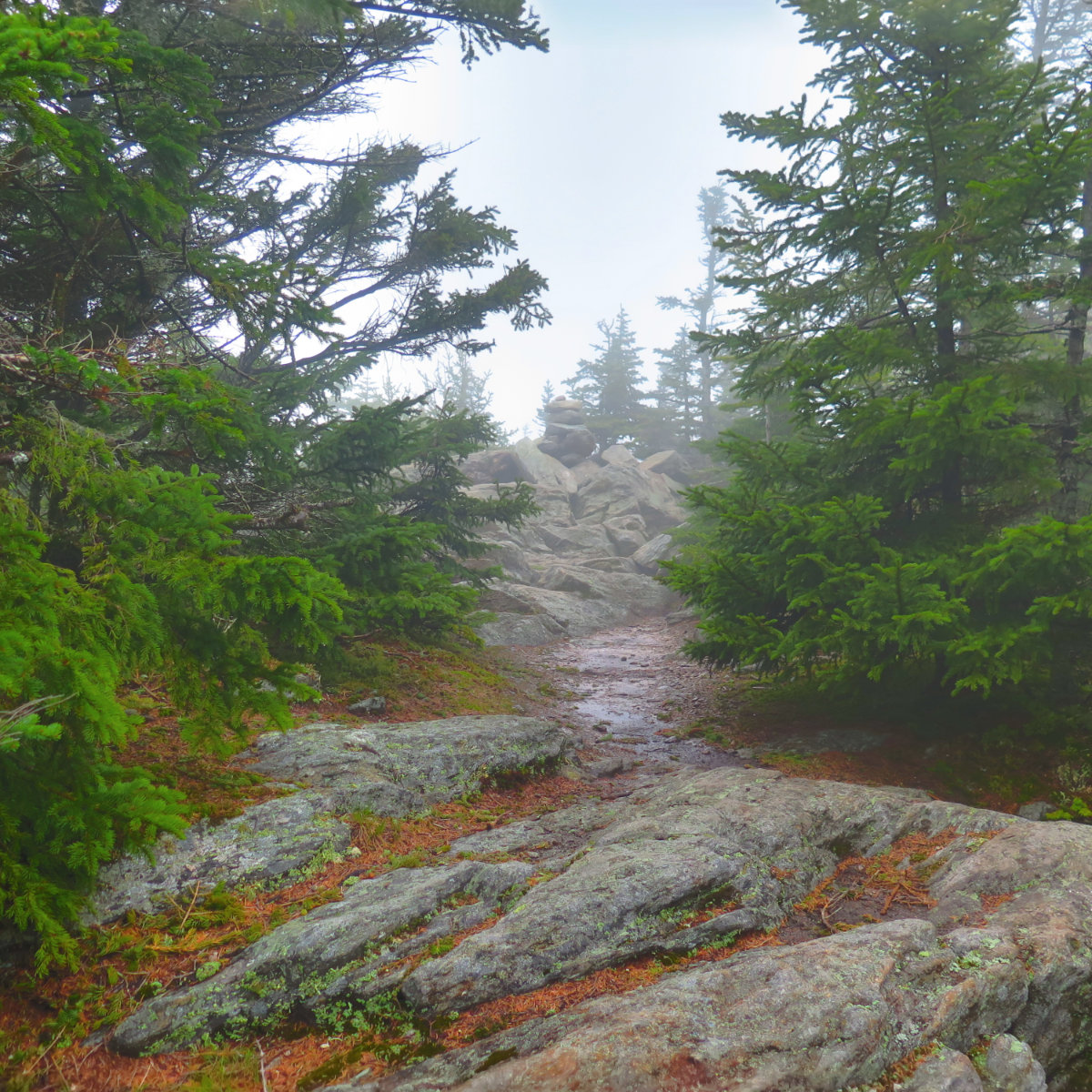 Summit of Sandwich Mountain, White Mountain National Forest, New Hampshire.