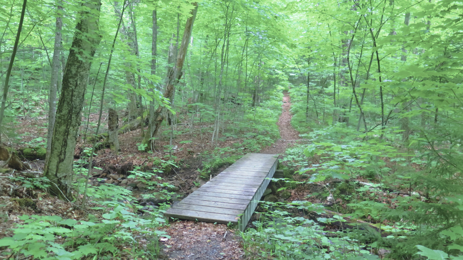 Twin-Mountain-Bridge-20190620