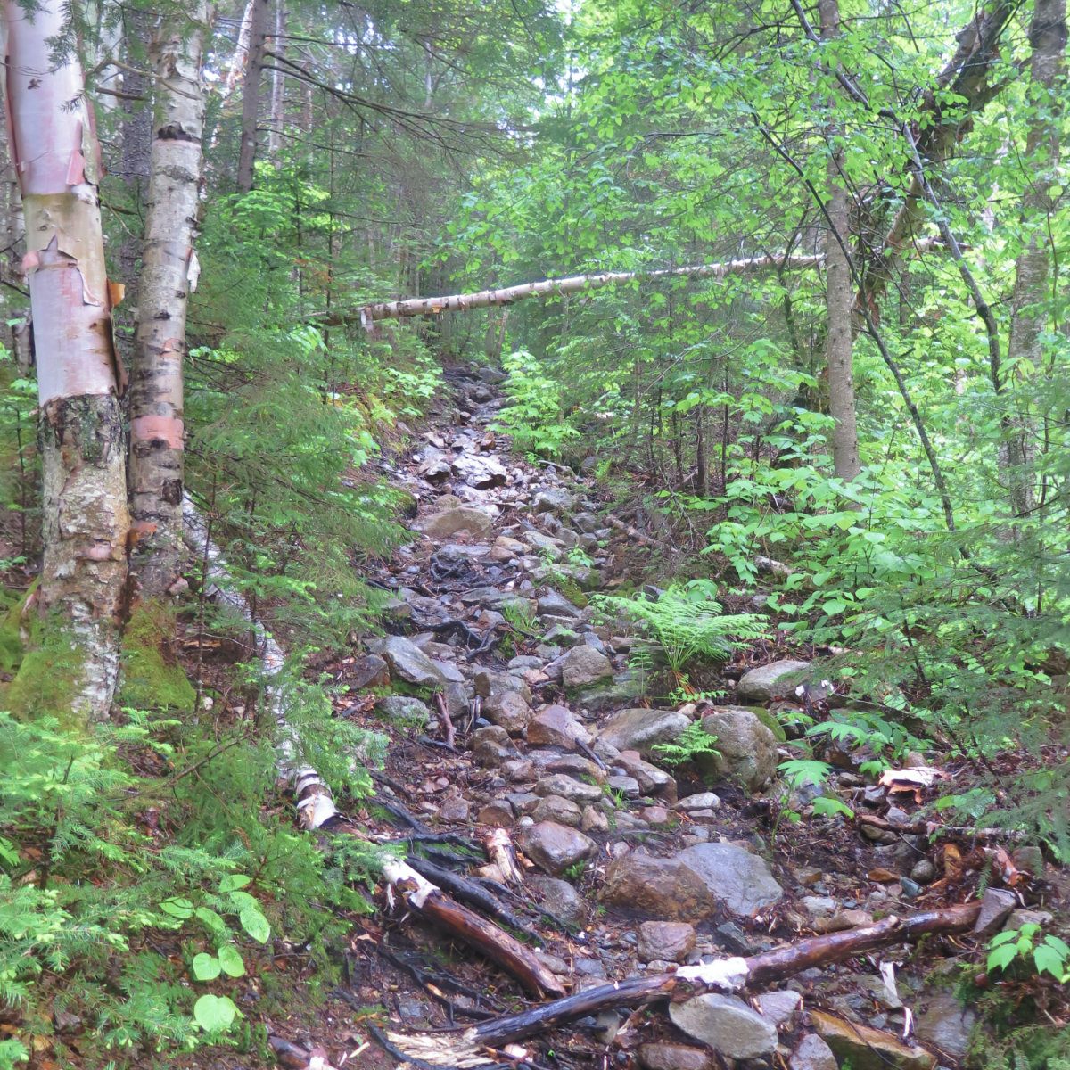 Twin-Mountain-Rocky-Trail-20190620