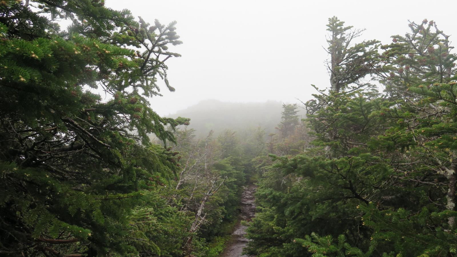 Twin-Mountain-South-Twin-Fog-20190620