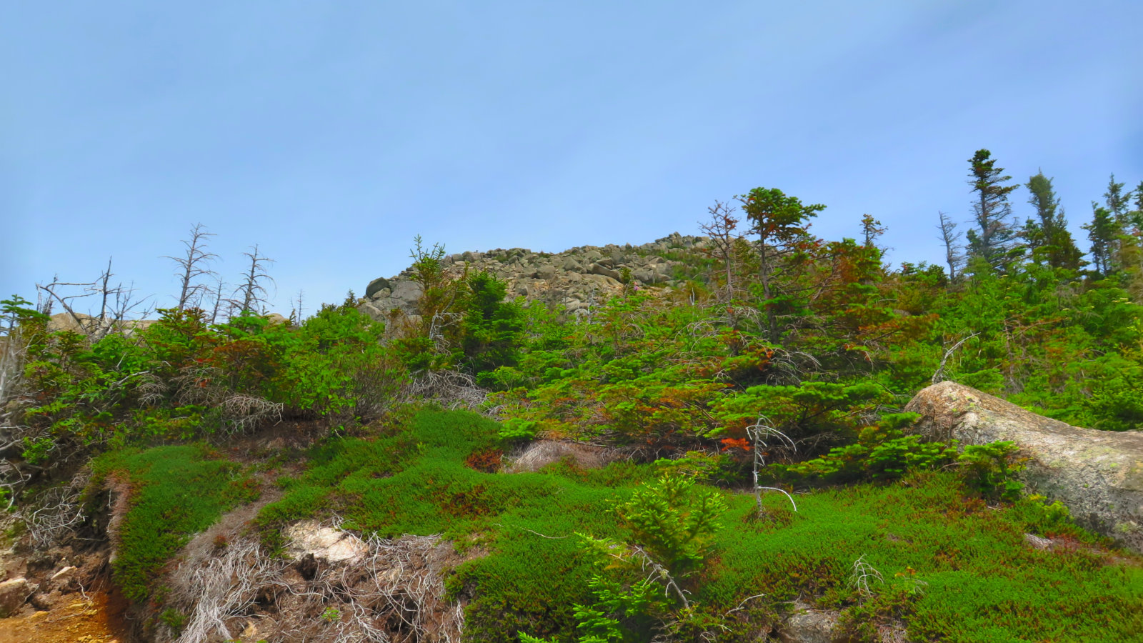 Above-Treeline-South-Turner-BSP-20190705