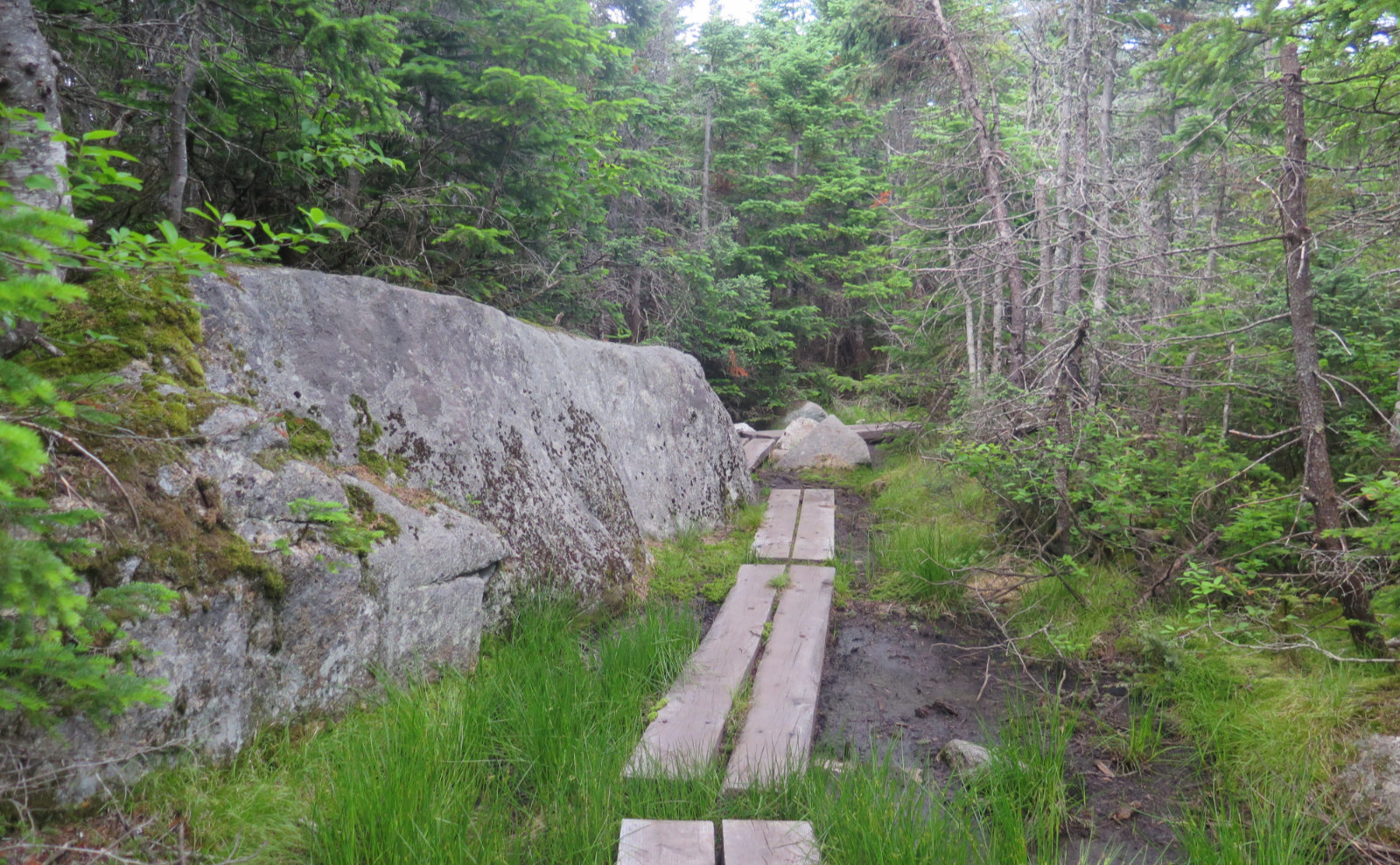 Bog_Bridge_Hancock_20190725