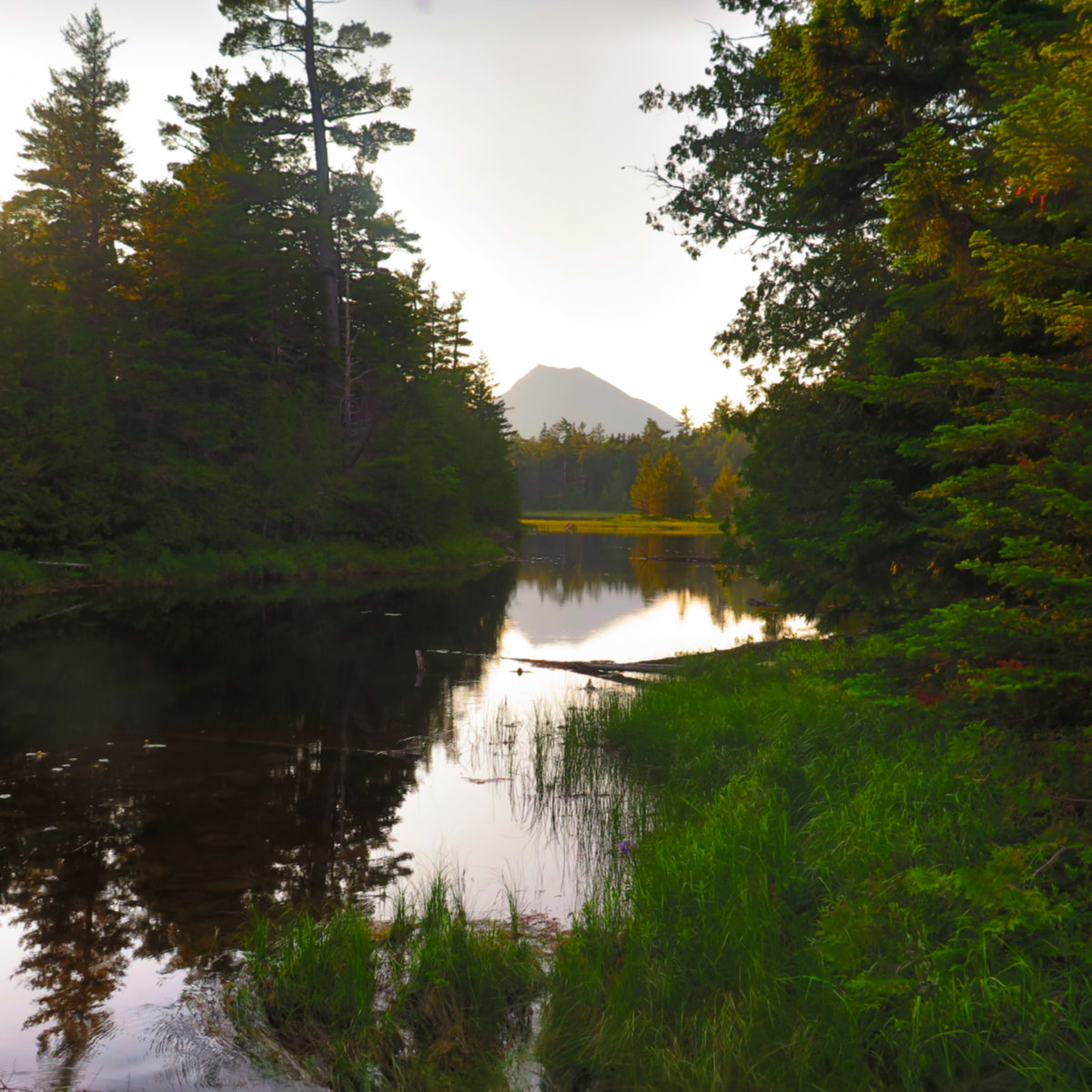 Doubletop-Grassy-Pond-BSP-20190704