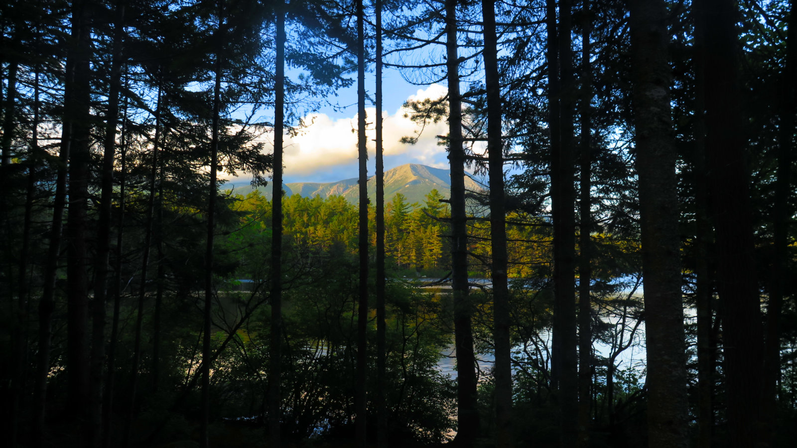 Katahdin-1-Daicey-Pond-BSP-20190630