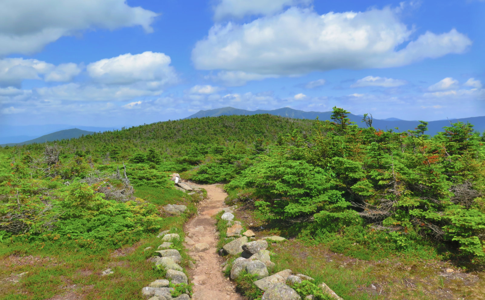 Kinsman_Franconia_Ridge_From_AT_20190713