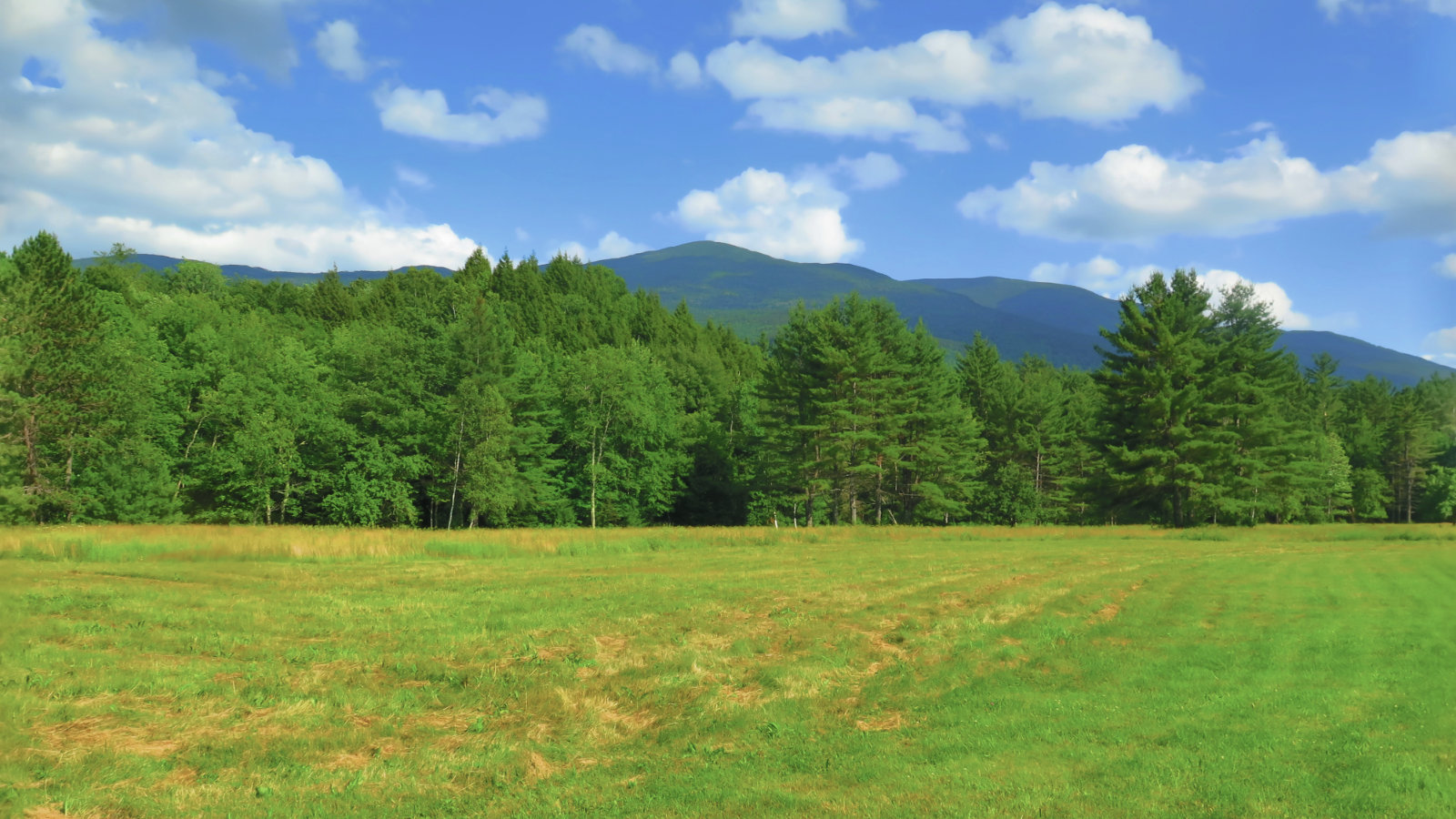 Kinsman_Mountains_from_field_20190713