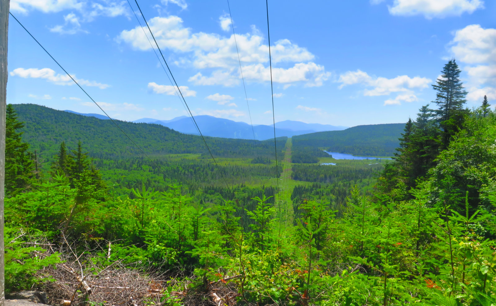 Kinsman_Powerlines_South_20190713