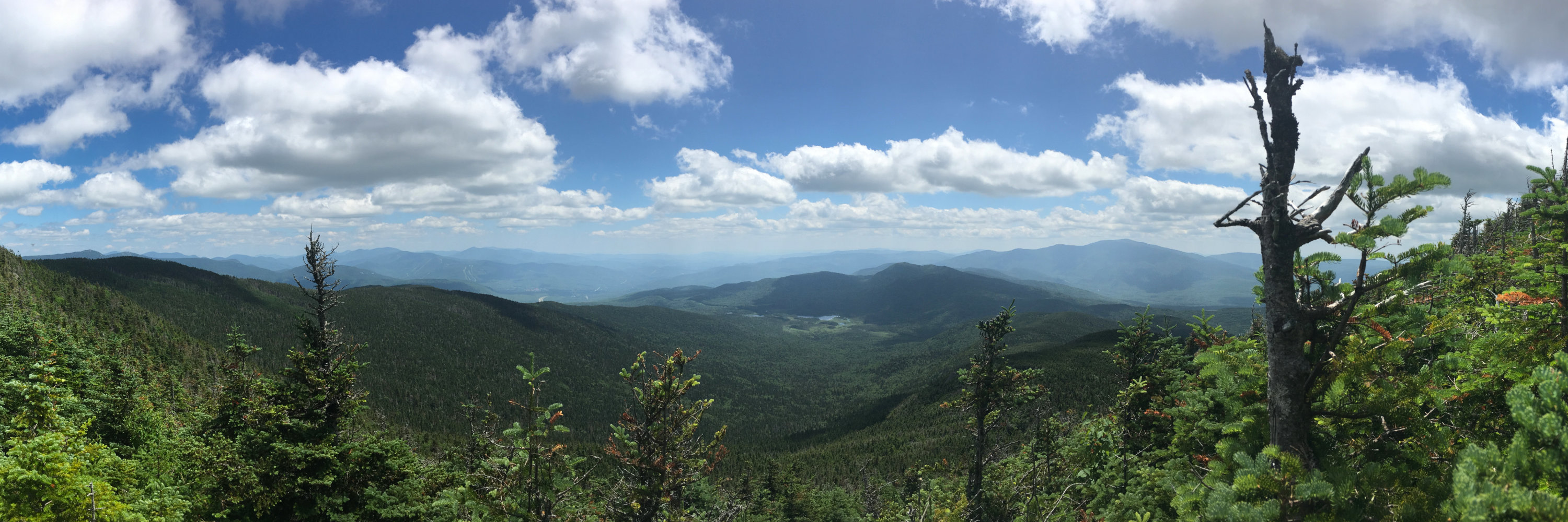 Moosilauke_From_Kinsman_20190713