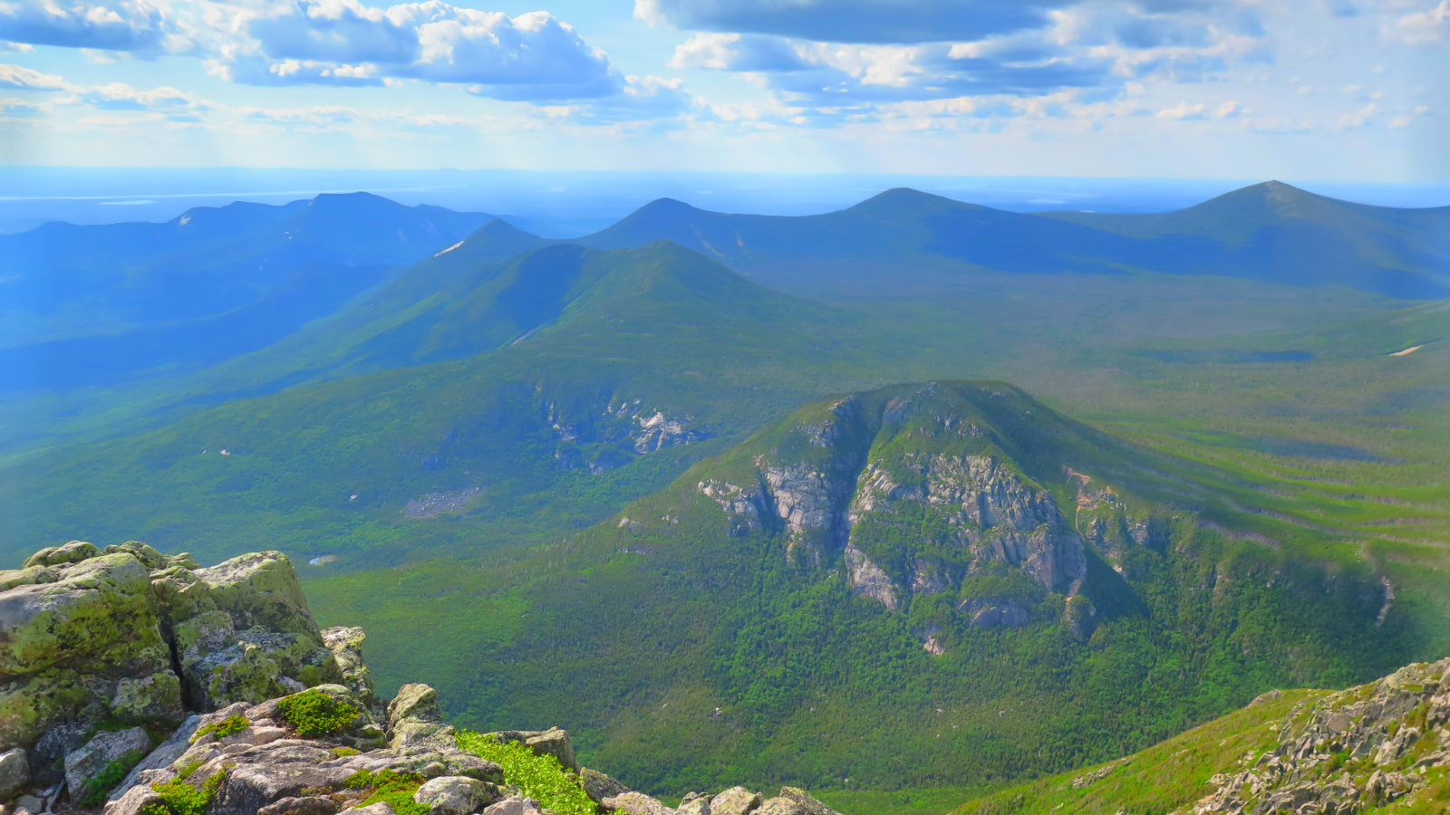 OJI-Coe-Brothers-Owl-HIGH-Katahdin-BSP-20190703