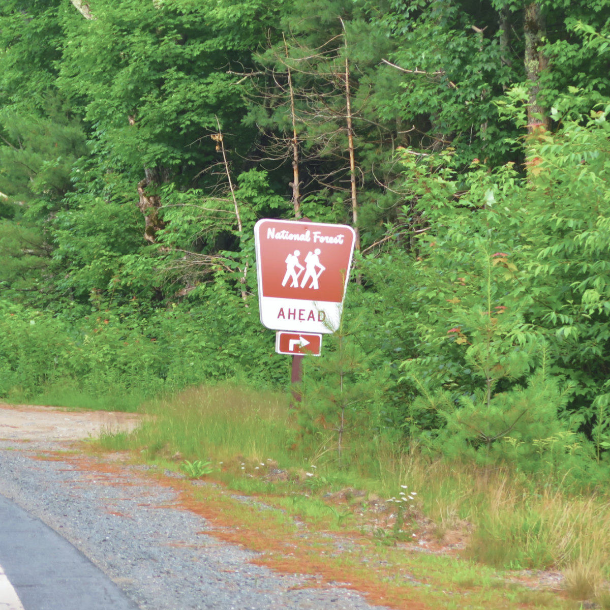 Reel_Brook_Road_Sign_20190713