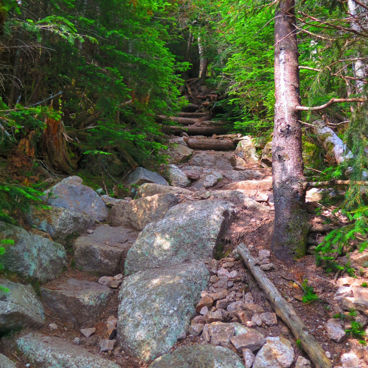 Rocky_Steep_Trail_2_Hancock_20190725