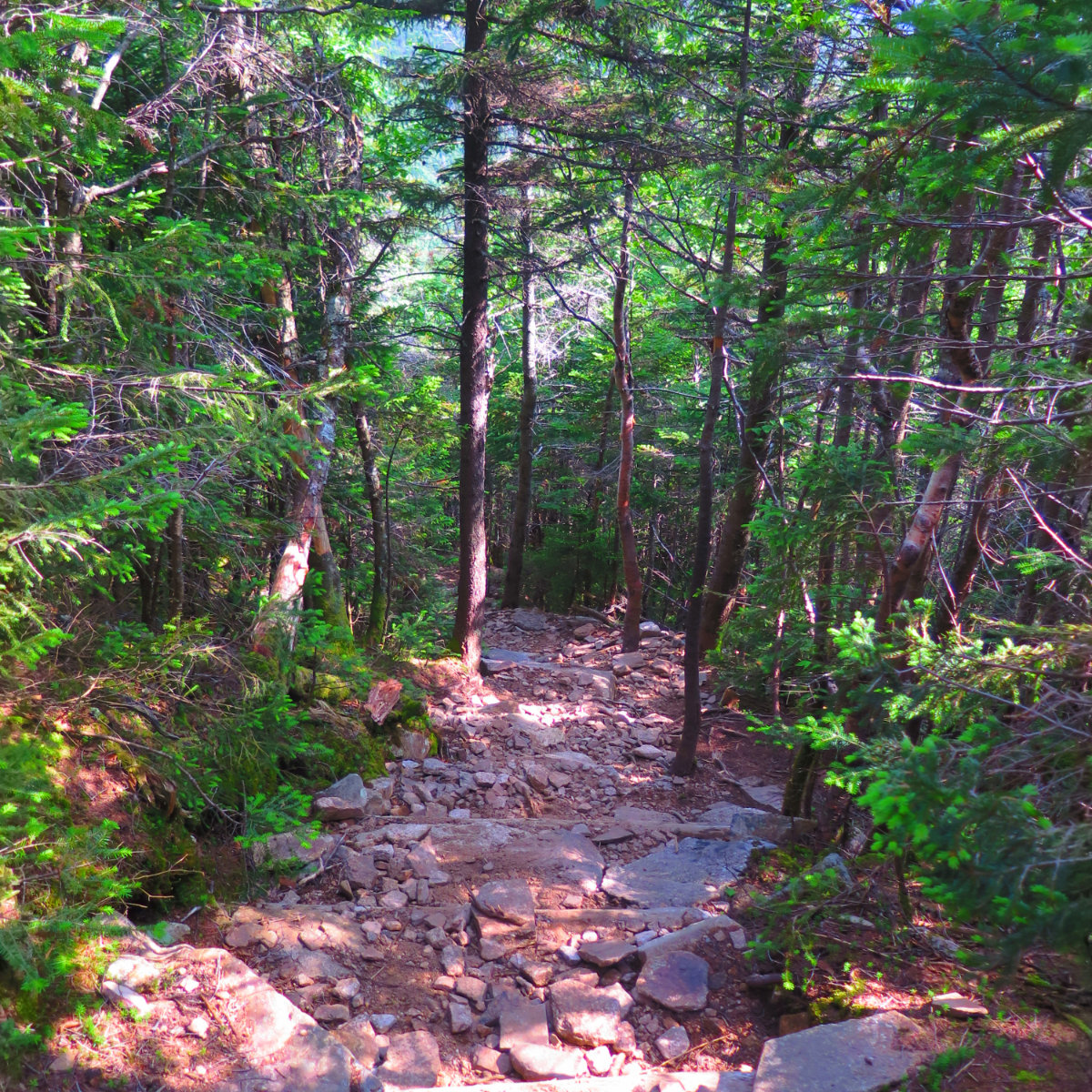 Rocky_Steep_Trail_3_Hancock_20190725