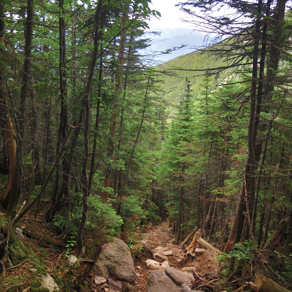 Rocky_Steep_Trail_Hancock_20190725