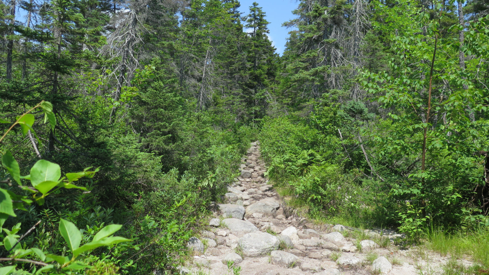 Rocky_Trail_Hancock_20190725