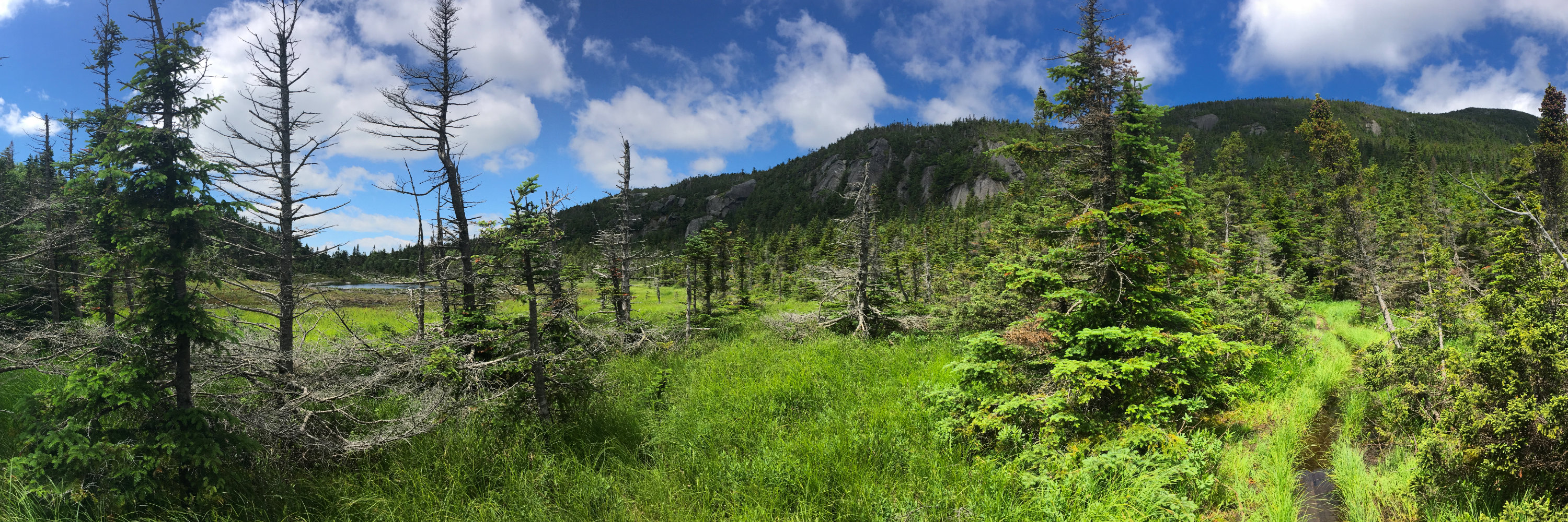 South_Kinsman_Bog_Pond_20190713