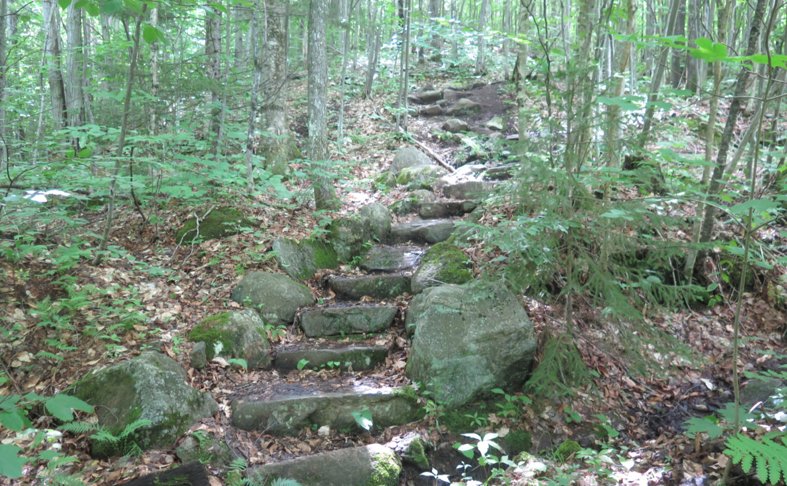 Stone_Stairs_Cabot_20190718