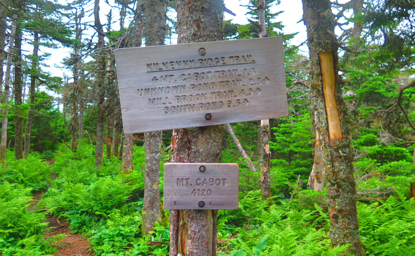 Summit_Sign_Cabot_20190718