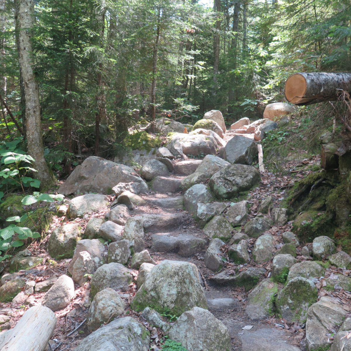 Trail_Stair_Hancock_20190725