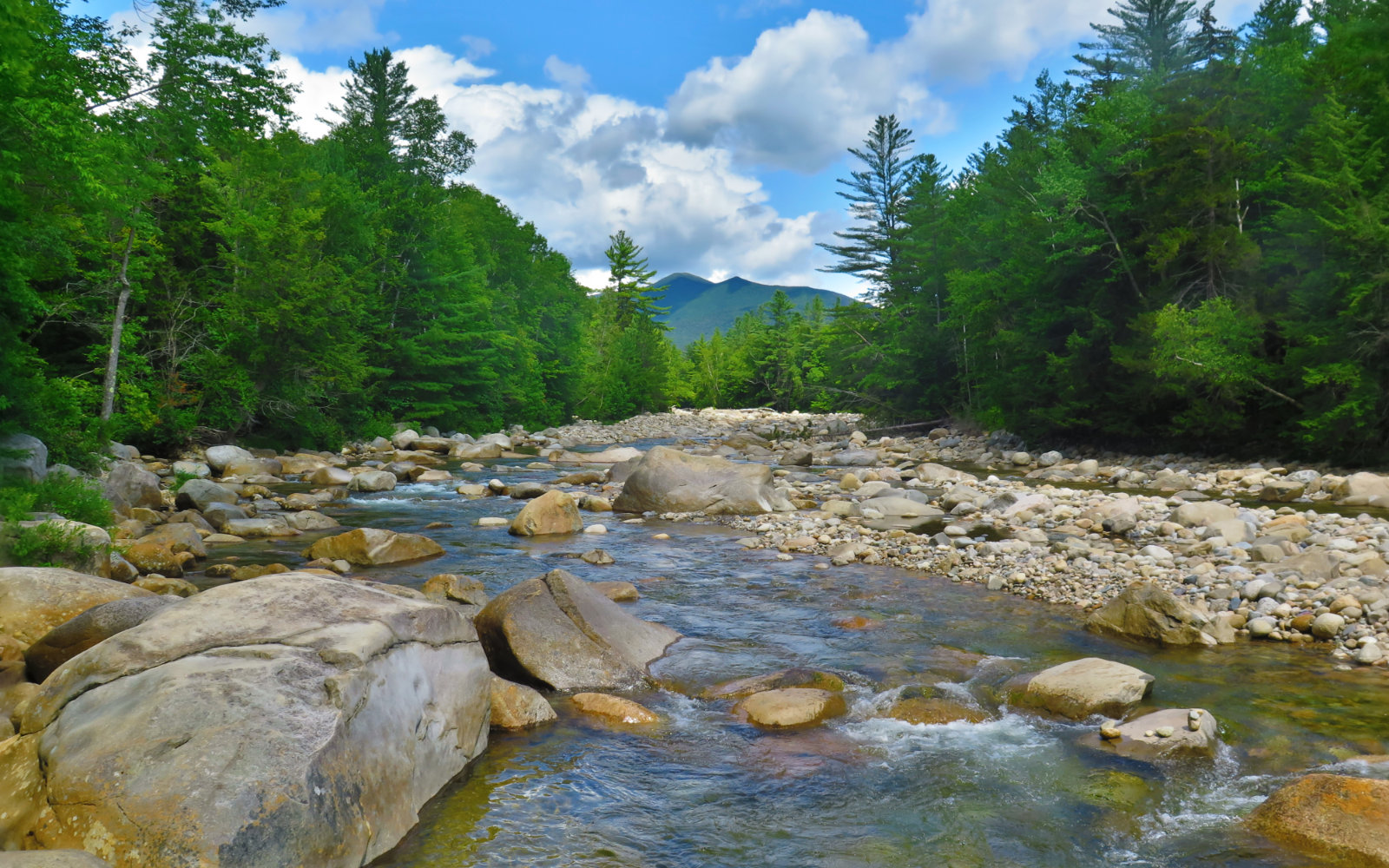 Bondcliff_Lincoln_Brook_Owls_Head-2019-08-10