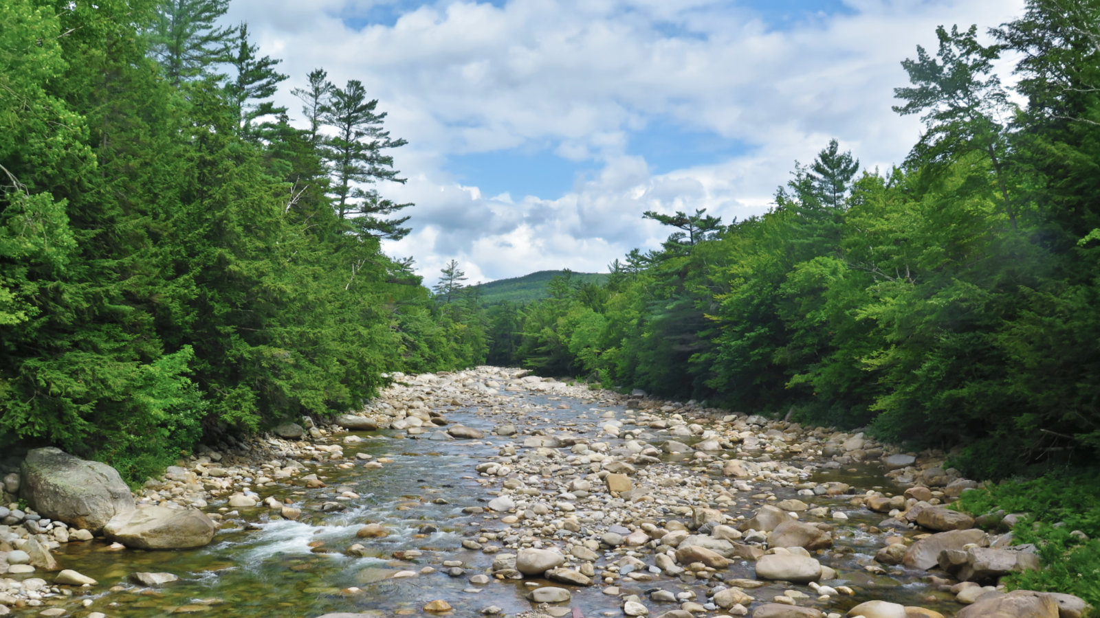 East_Branch_Owls_Head-2019-08-10