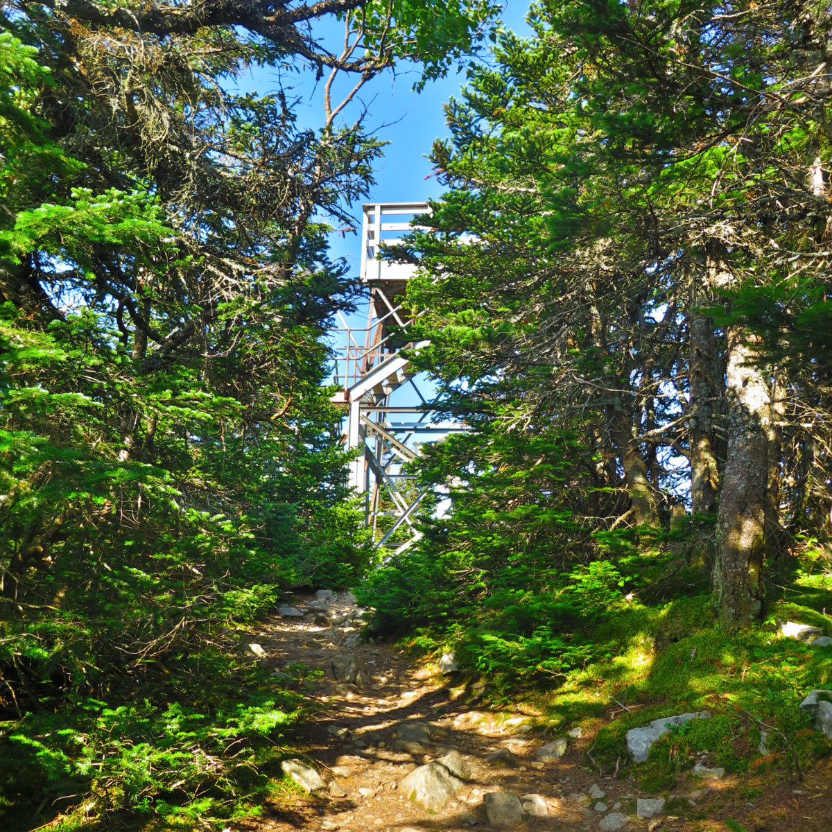 Fire_Tower_Close_Carrigain_20190803