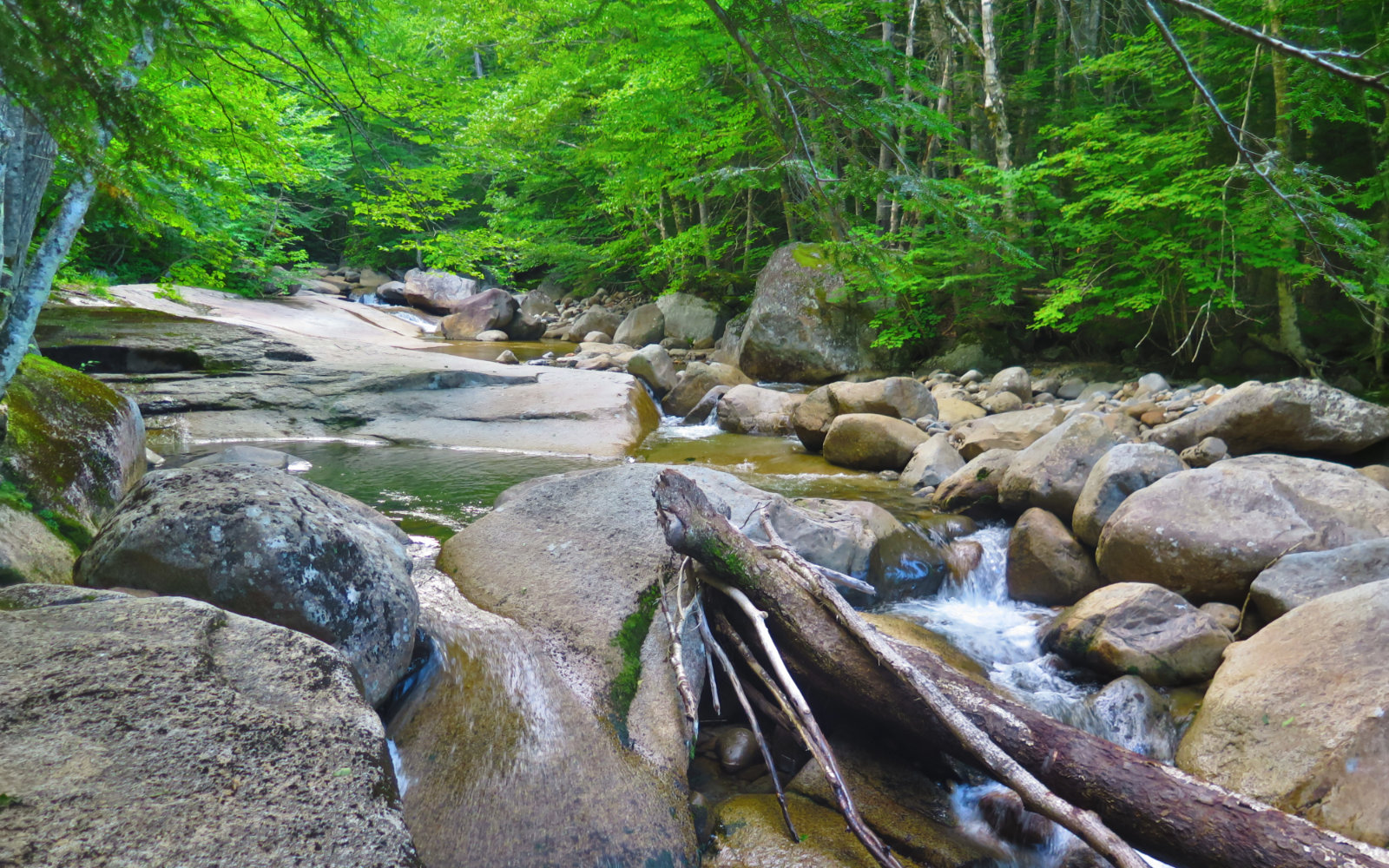 Lincoln_Brook_Bedrock2_Owls_Head_20190814