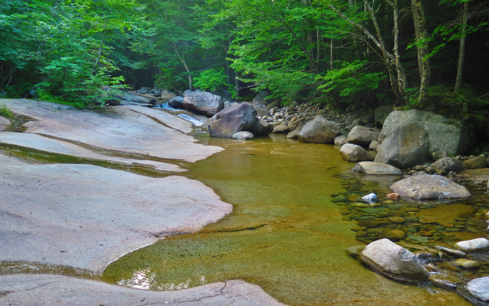 Lincoln_Brook_Bedrock_Owls_Head_20190814