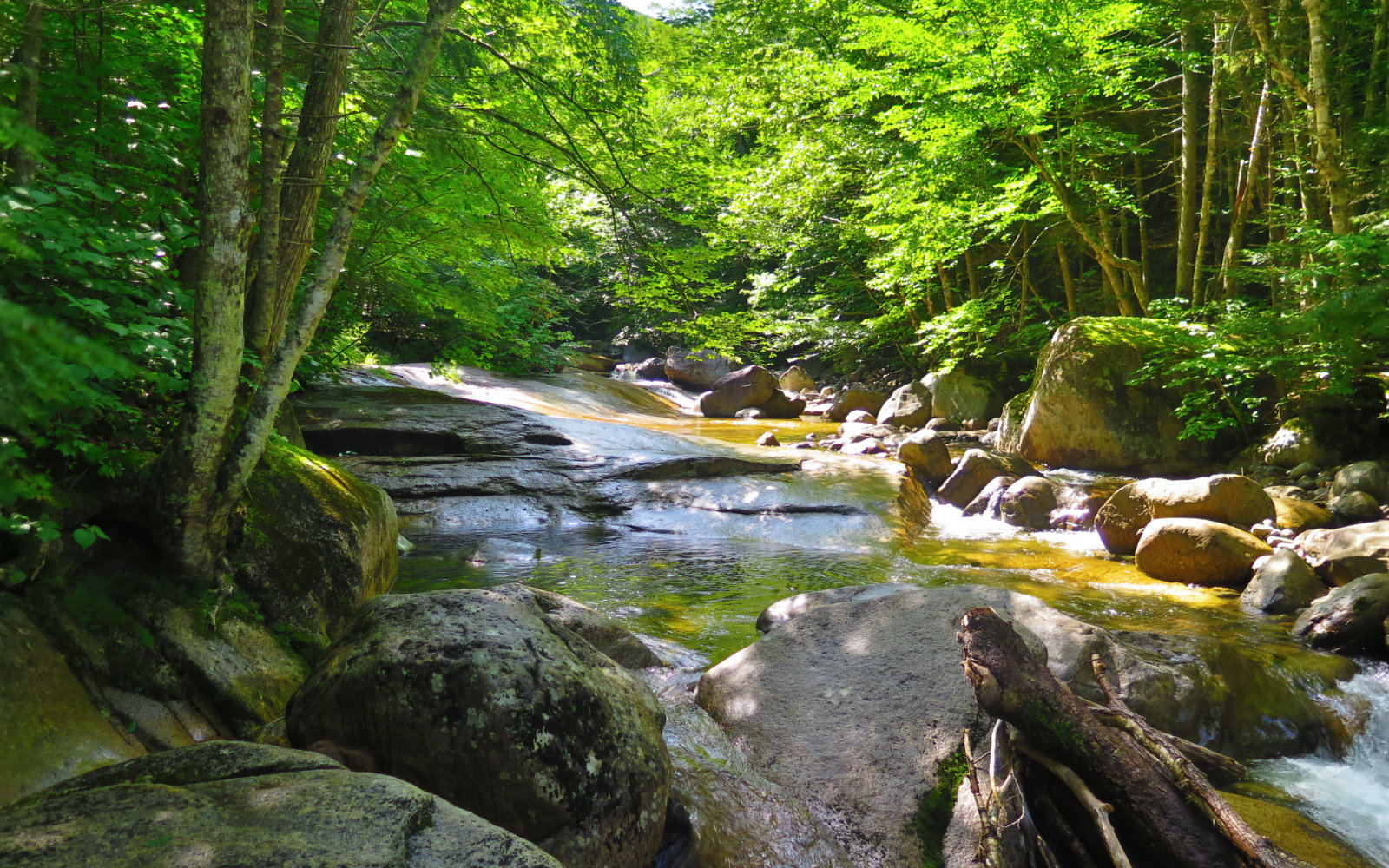 Lincoln_Brook_Owls_Head-2019-08-10