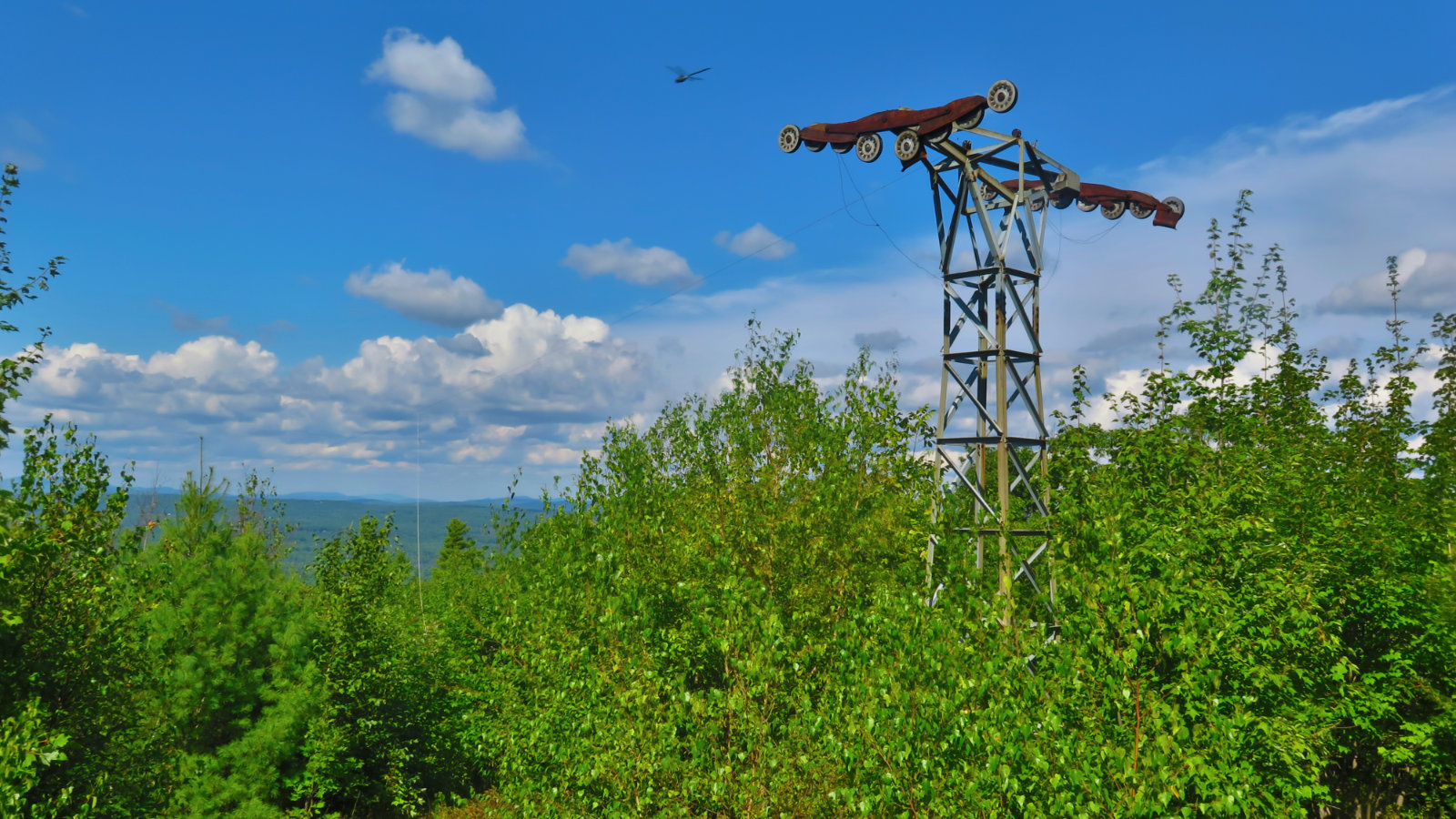 Moose_Mountain_Dragonfly_20190829