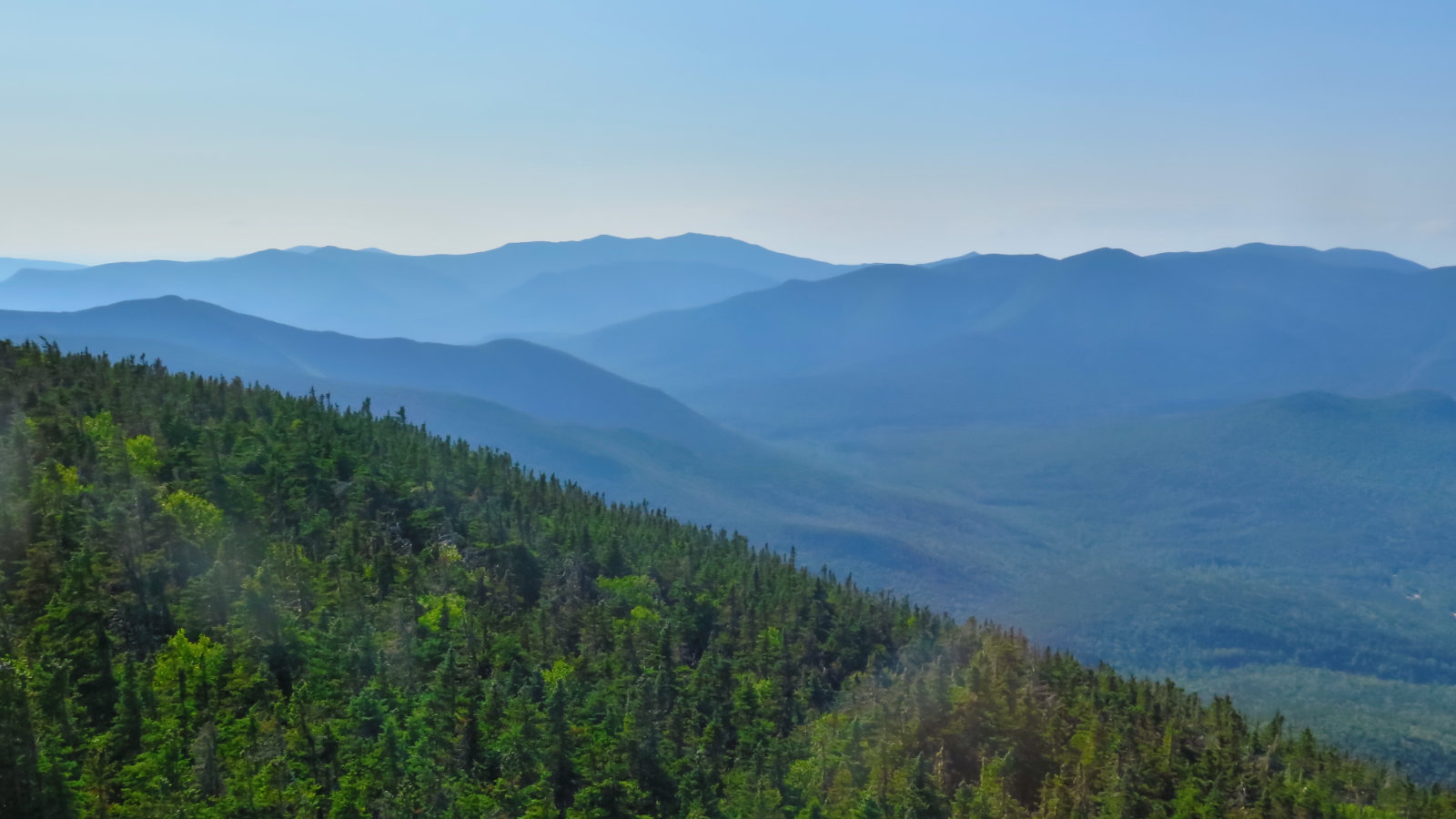 Pemigewasset_Wilderness_Carrigain_20190803