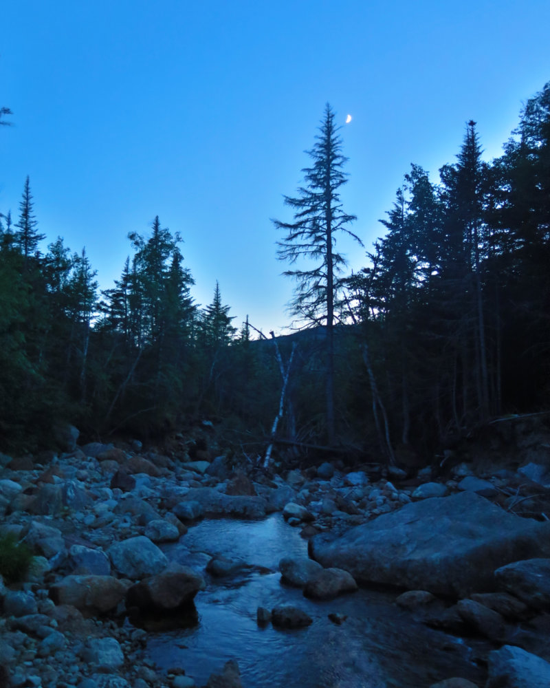 Rocky_Branch_Moon_Isolation_20190805