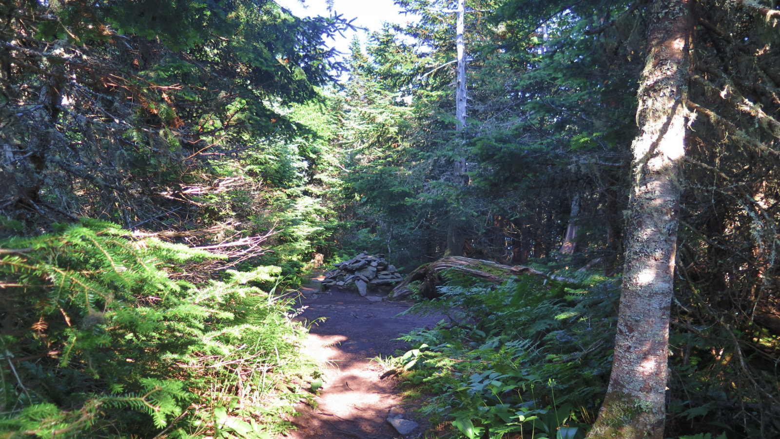 Summit_Cairn_Waumbek_20190801