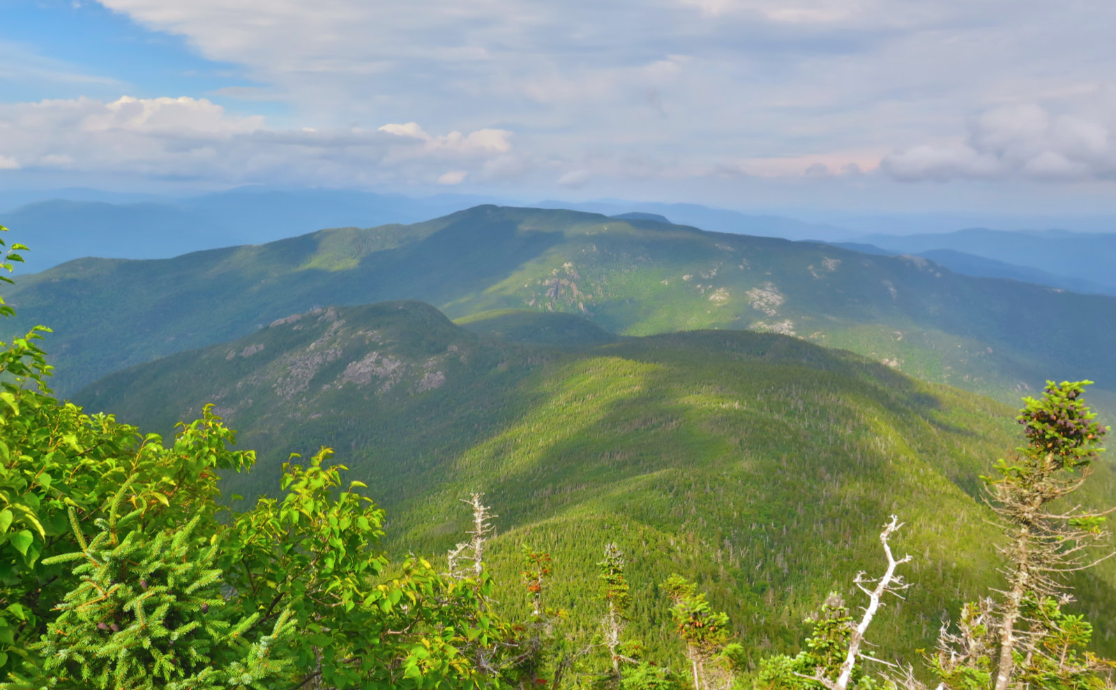 View-North-Carter-Ridge-20190822