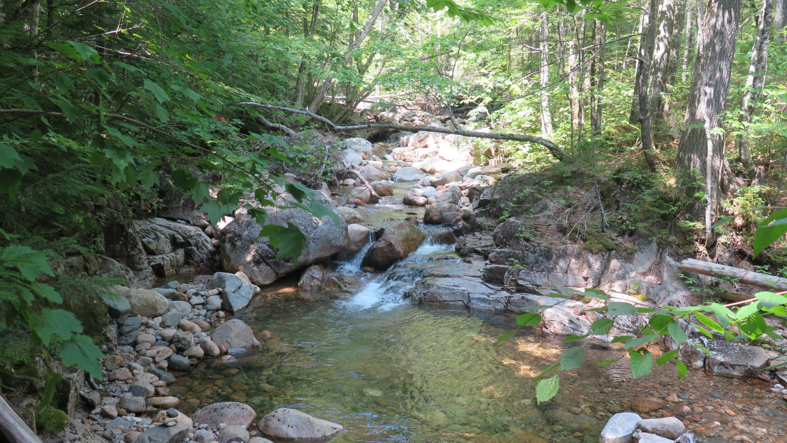 Whiteface_Brook_Carrigain_20190803