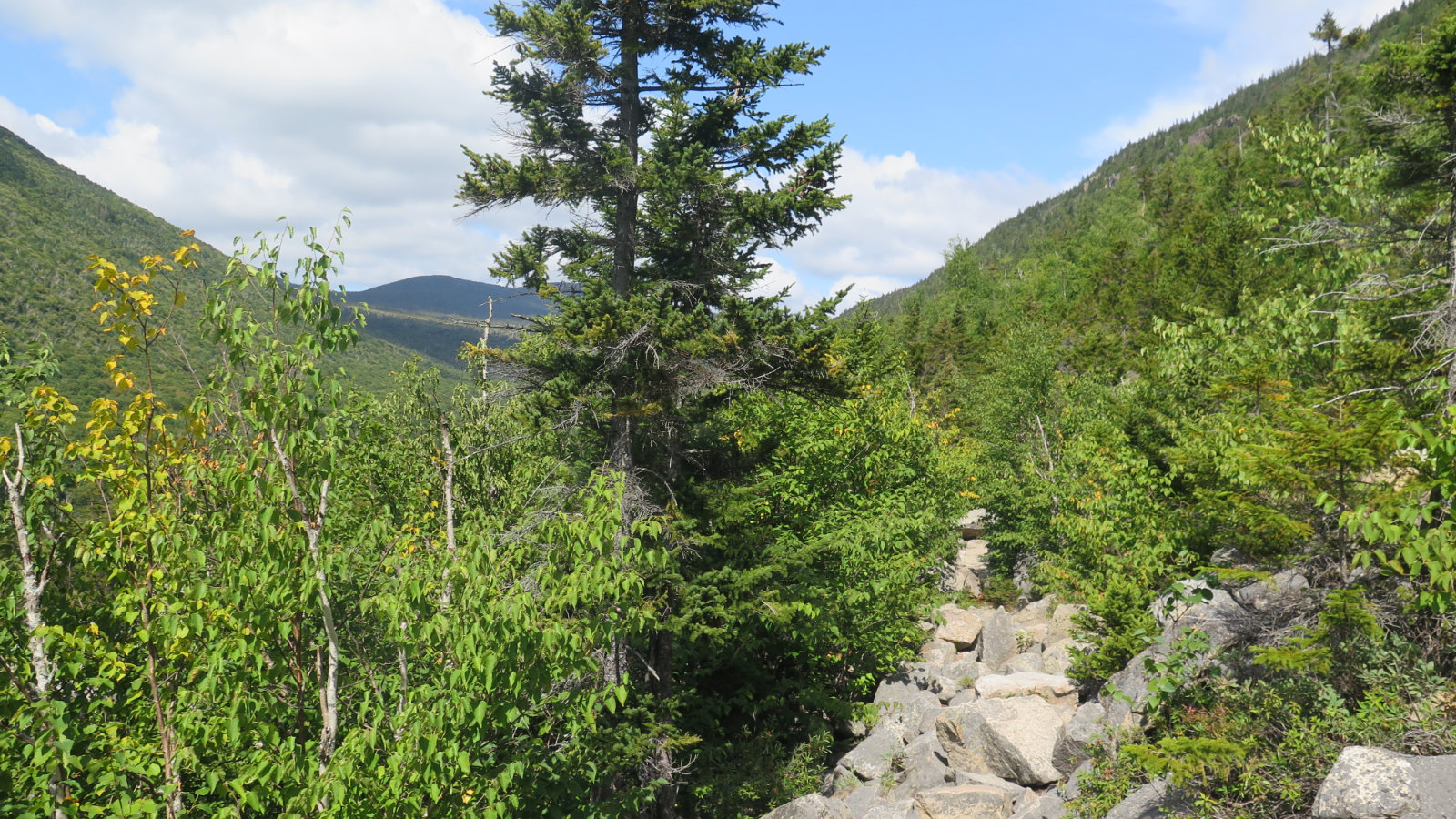 Ethan-Pond-Trail-Rocks-20190907