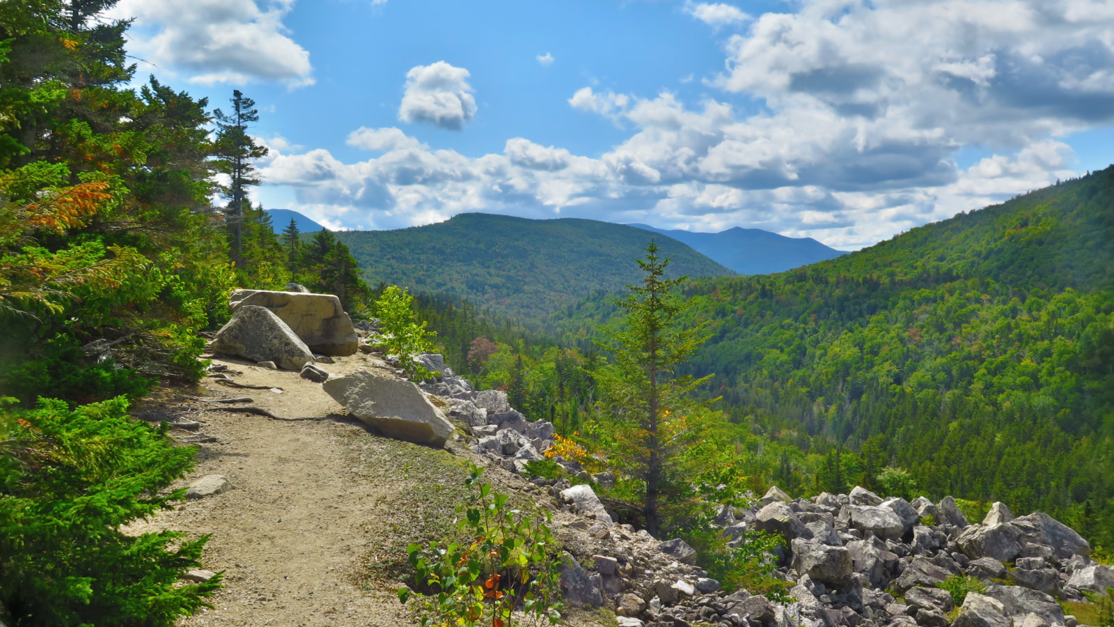 Ethan-Pond-Trail-View-20190907