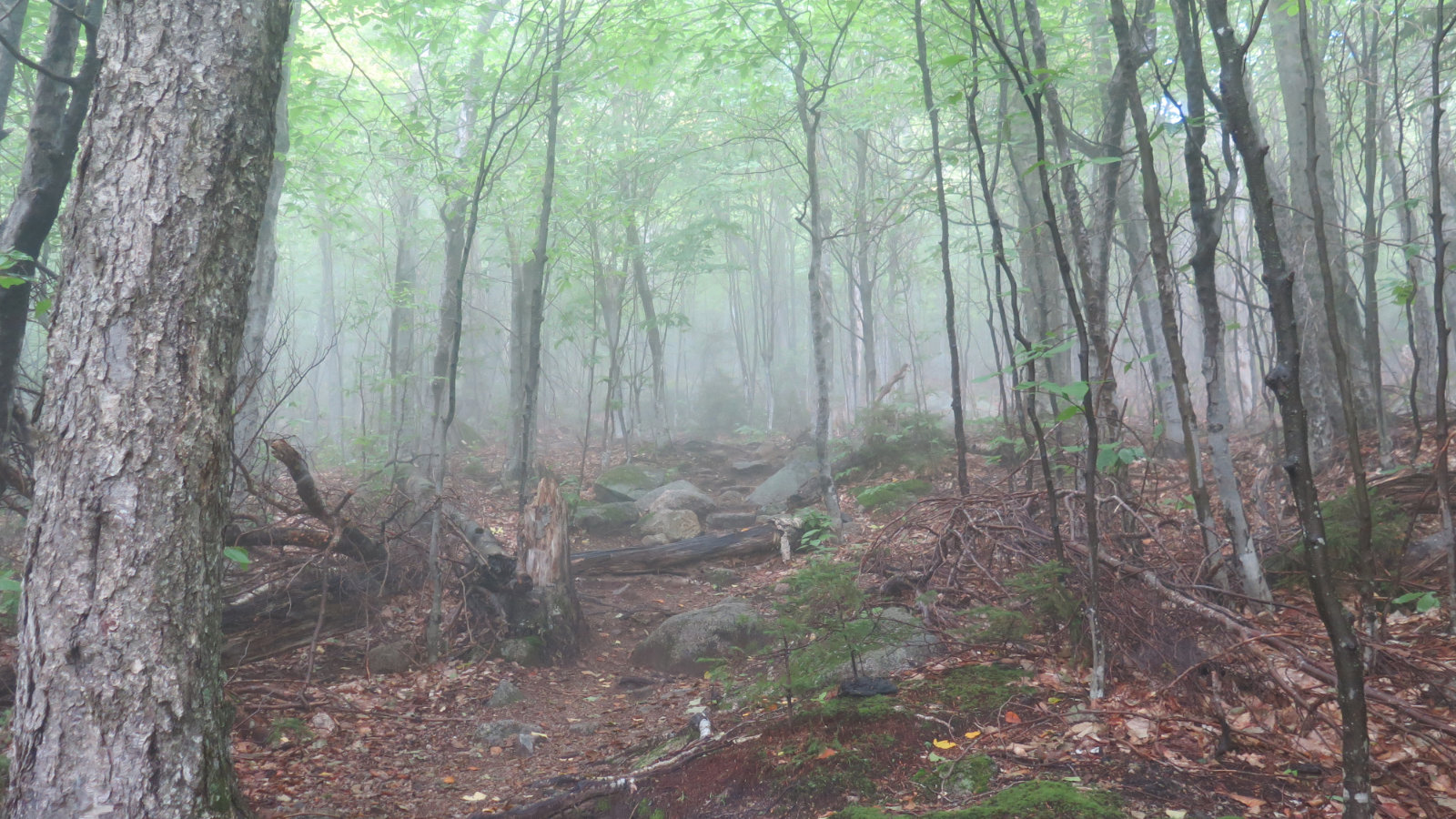 Fog-Whiteface-Passaconaway-20190912