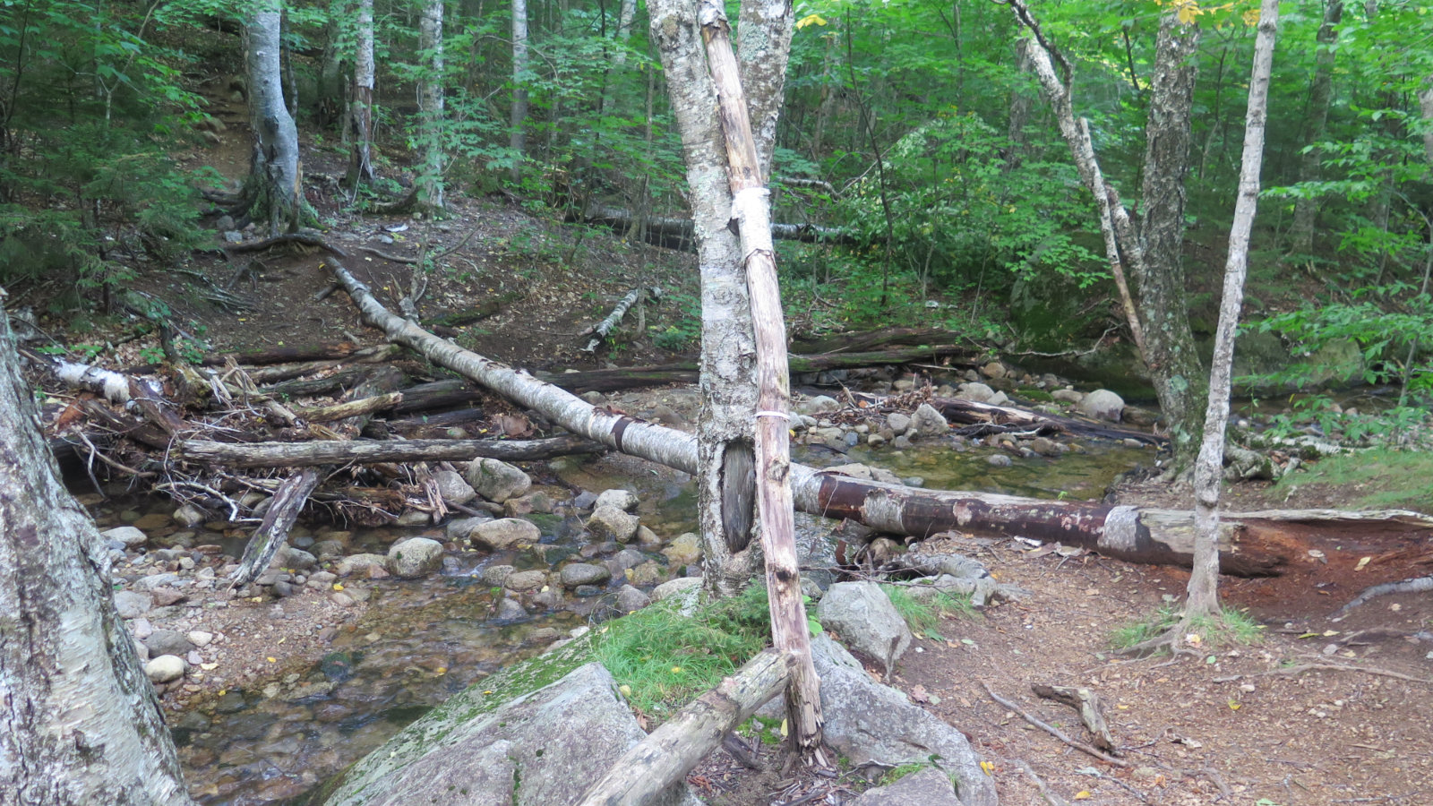 Log-Bridge-Whiteface-Passaconaway-20190912