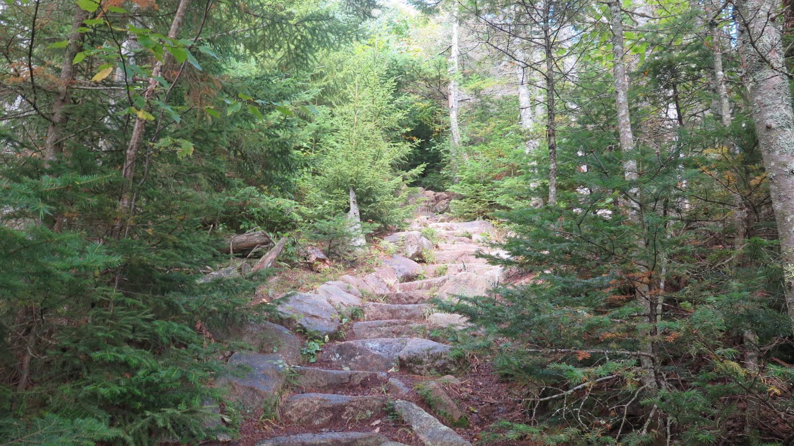 Stairs-Whiteface-Passaconaway-20190912