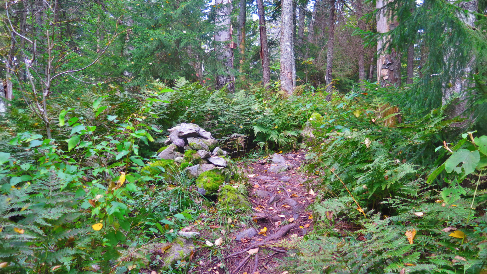 Tecumseh-Cairn-20190926