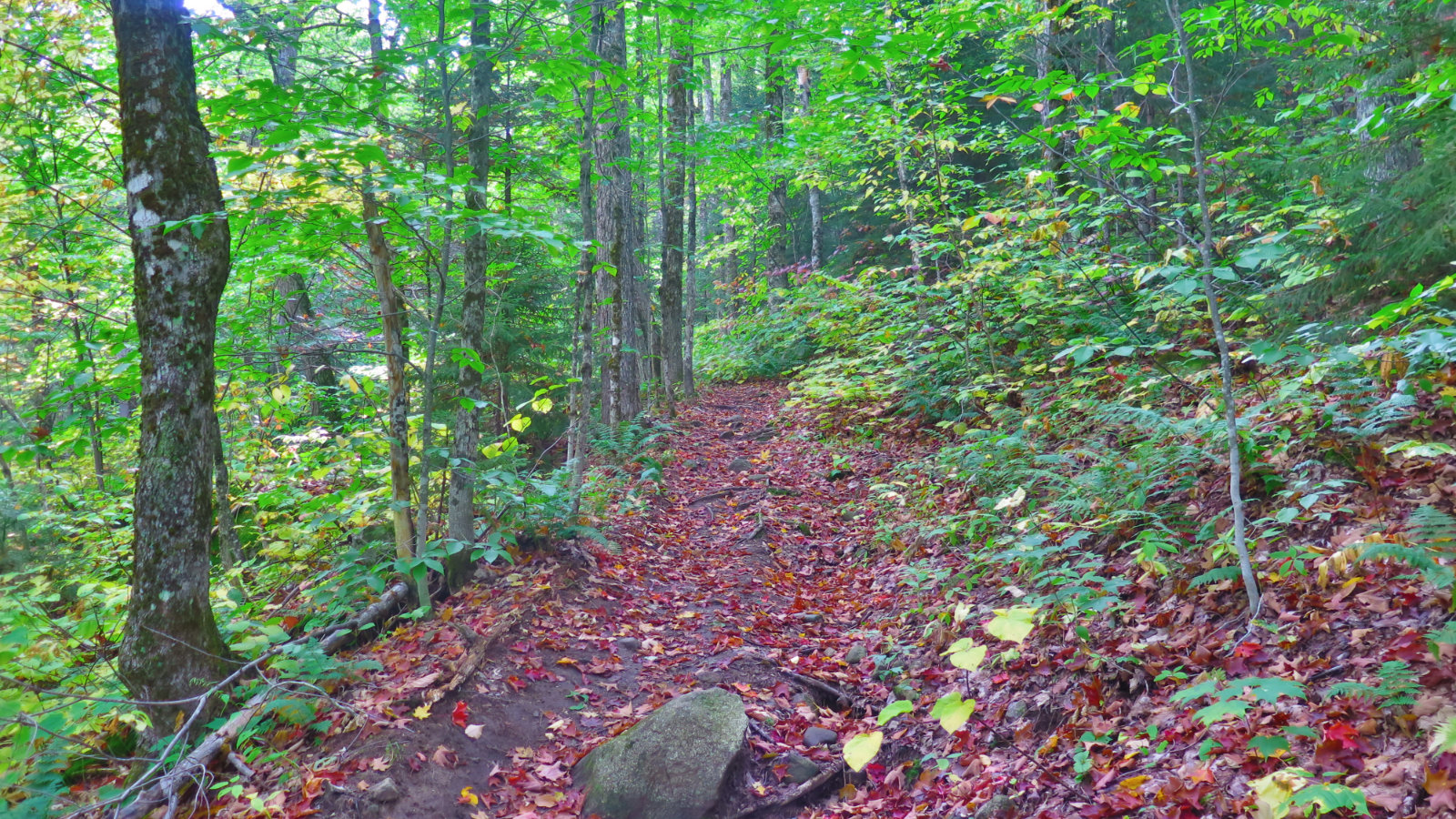 Tecumseh-Moderate-Trail-20190926