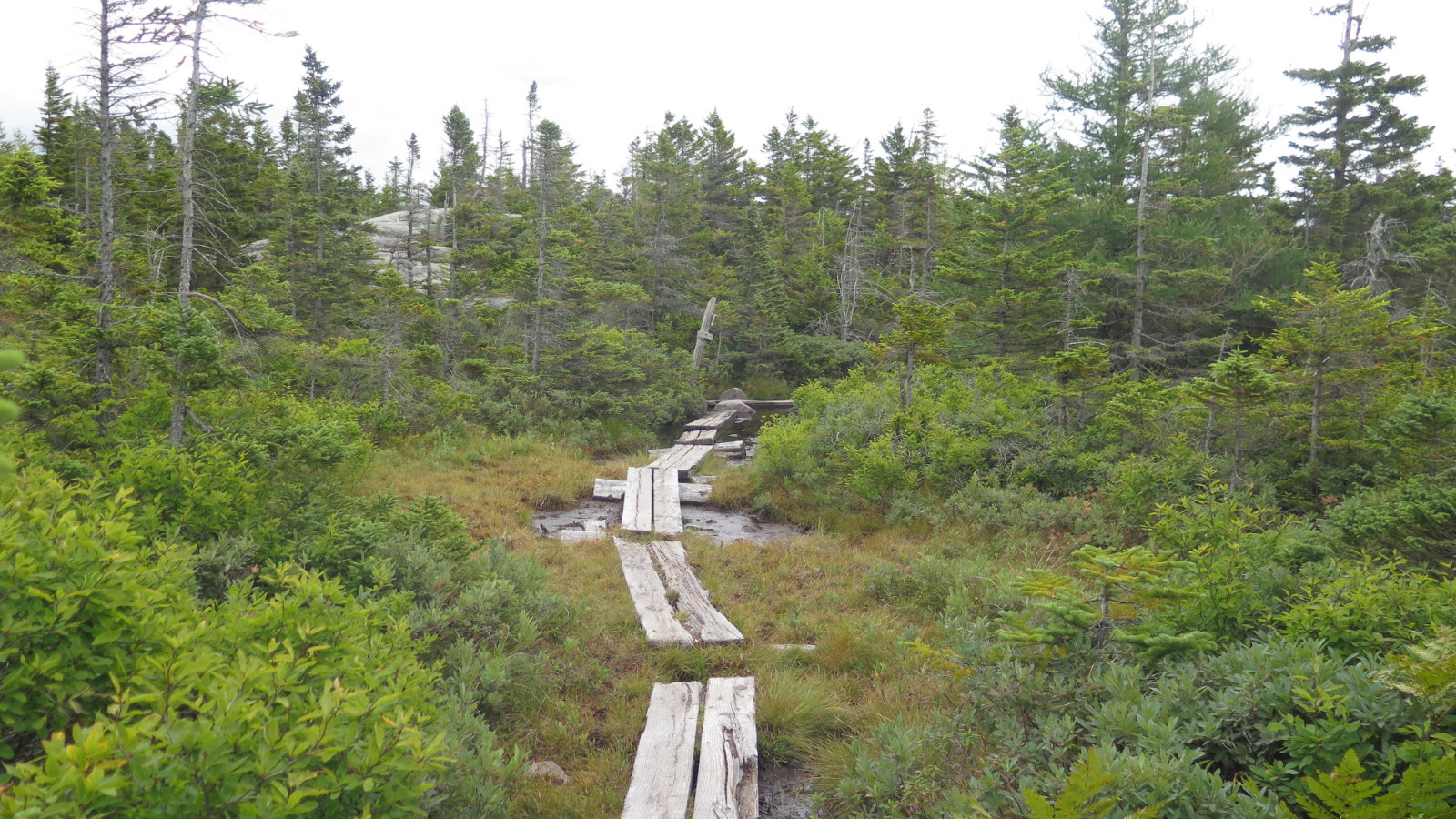 Twinway-Bog-Bridge-20190907