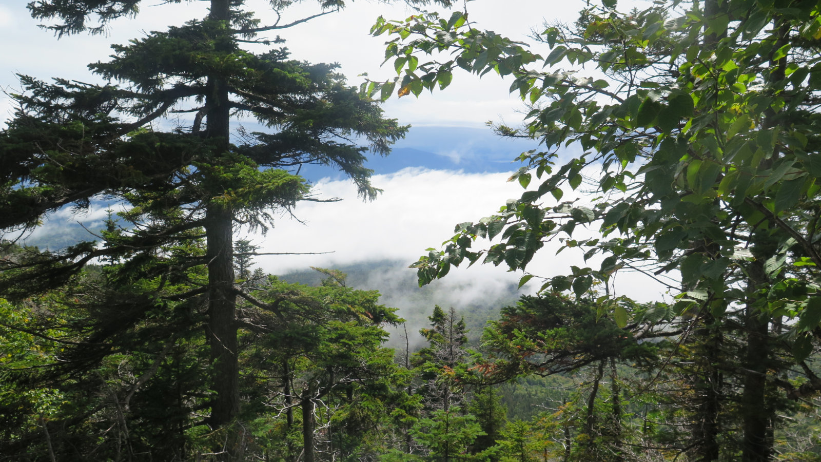 Undercast-Whiteface-Passaconaway-20190912