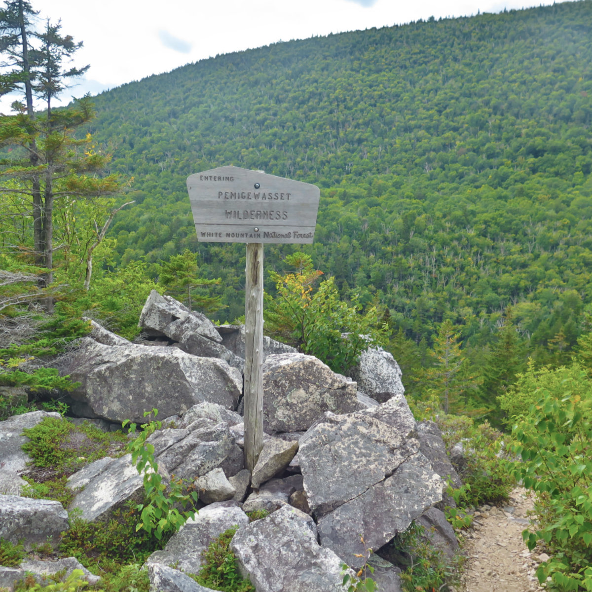 Zeacliff-Trail-Pemigewasset-Wilderness-20190907