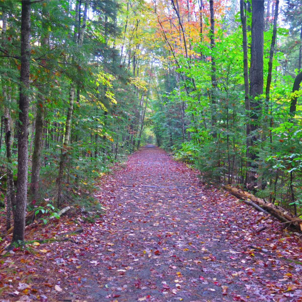 Hiking-Out-Lincoln-Woods-Pemi-Loop-201910xx