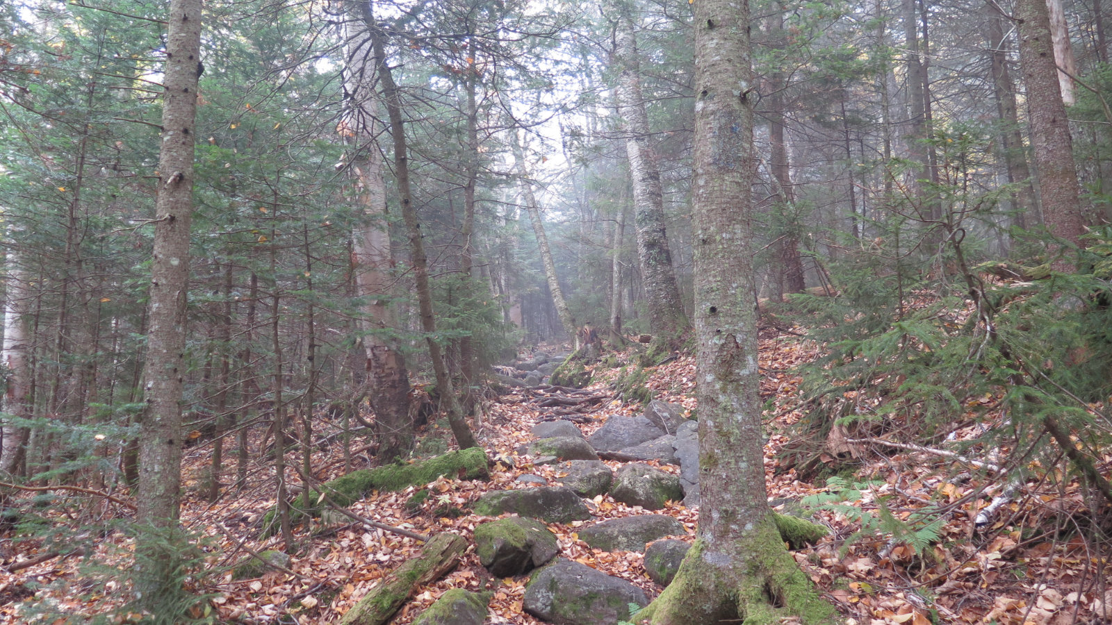 Lowes-Path-Medium-Rocks-Mt-Adams-20191012