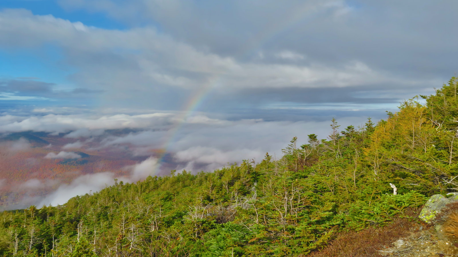 Lowes-Path-Rainbow-Mt-Adams-20191012